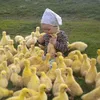 _fatma2005