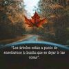 iczn_2408