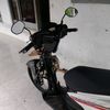 tailonk
