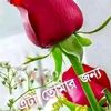 user4135308306