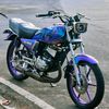 officialking135cc1