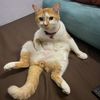 babu_4_anak
