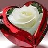 user37048611691780