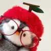 Penguuu🐧