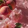 edith_44220