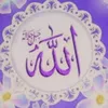 user7742238159622