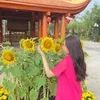 tiemnhabee_hanh