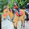 alfarizky3284
