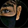 amir.hamja2893