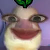 nguoidautien5