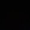 sallloaltj555