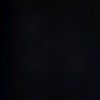 plamediemuteb12
