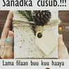 maxamedxasan7719