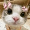 faridasameh5120932435251