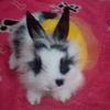 maricucha_36
