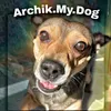 archivk.my.dog