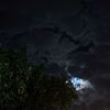 khalid_0538
