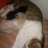 elias4457247436784