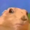m4rmota2