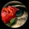 user8812245574125