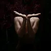 The Yoga Kitty