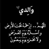user17152626861084