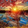 darladavis49