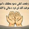 cheikh.mohammed5