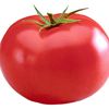 tomato24926