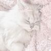 angelluv763