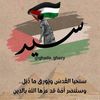 sayed.boraey