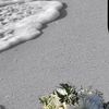 noura.khamis47