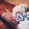 fatima.alaoui3