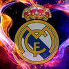 sebusrtg_xd