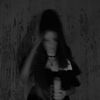 thevenuswitch