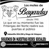 los_motes_de_bayardus