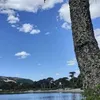 angelicaluna0322