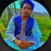 hamidkarimi478