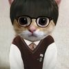 heyareyoustil