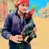 malik438438
