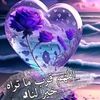 user80133734528625