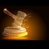 judgement_network