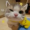 awaaa__10