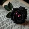غمِ فِراق ✍🏻❤️‍🩹
