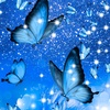 shifa_.butterfly124