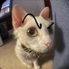 nikitru1