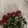 safahad19