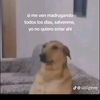 arbolito_124