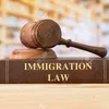 yourlawyer117