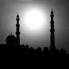 ibn_naasr